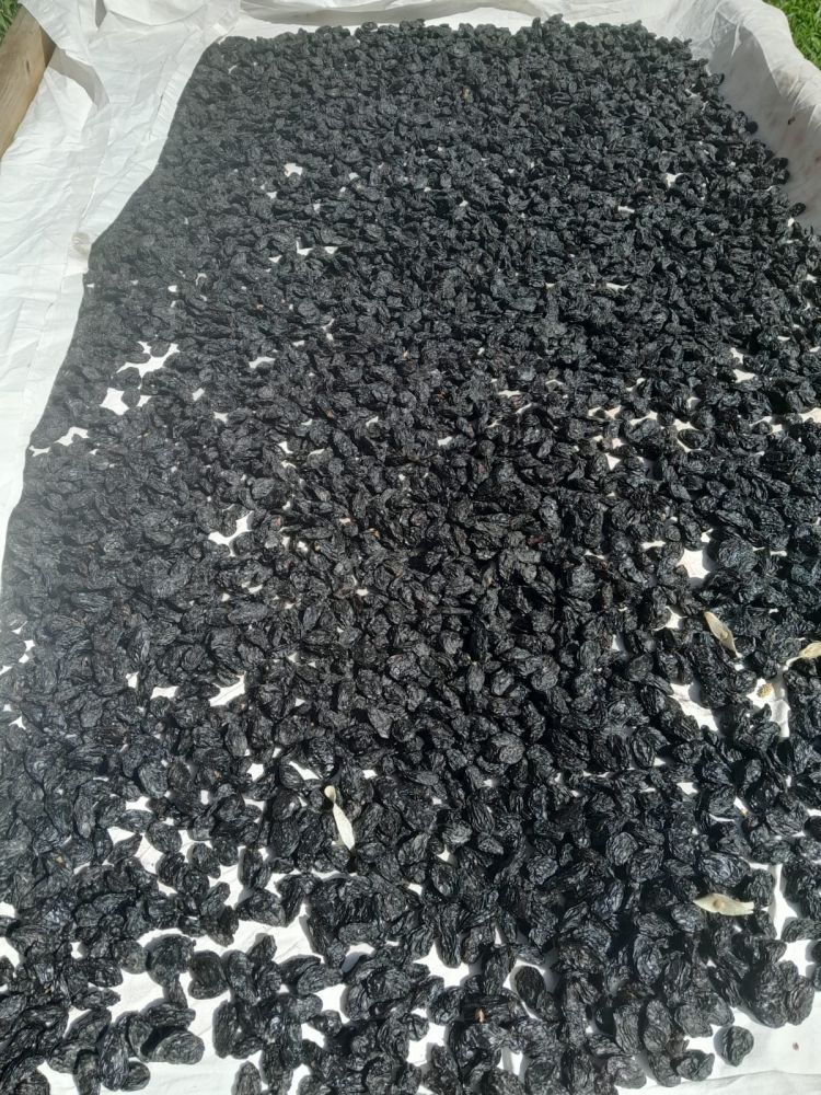 ANTEP KARASI ÜZÜM (250gr)