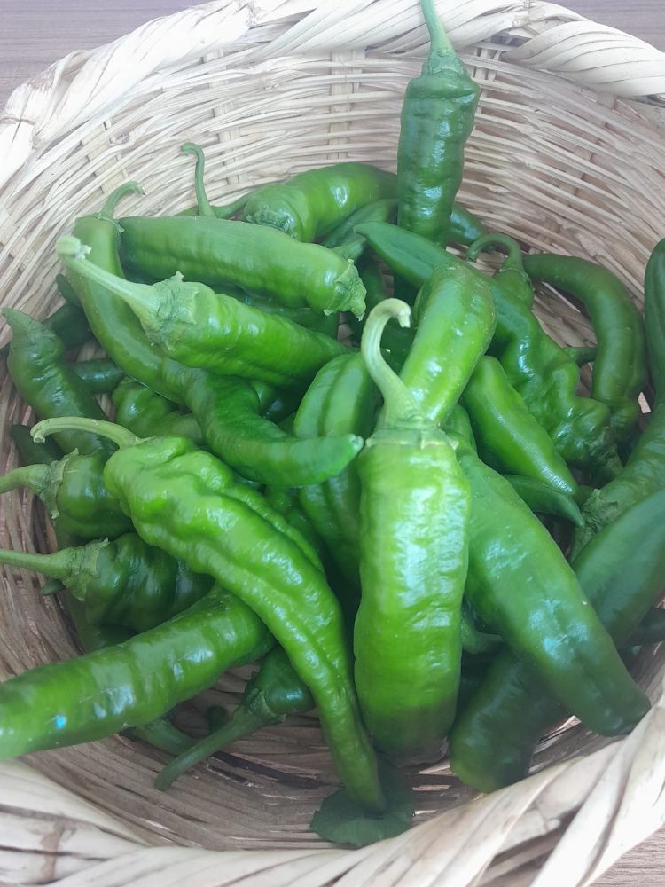 Taze Samandağ Biberi(Dikkat Acı) 500GR