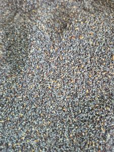 Haşhaş (Mavi) 100Gr