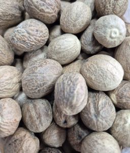 Muskat Tane (100 Gr)